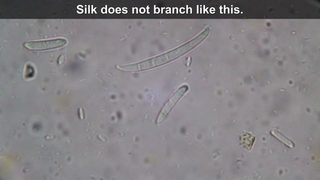 🔬 115 - How to look at a ROTTEN APPLE under the microscope смотреть онлайн