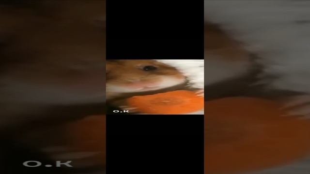 #*#А ват и Я,🤣😋ночная жрица смотреть онлайн