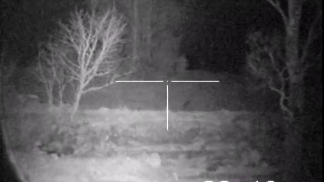 Digisight N550 смотреть онлайн