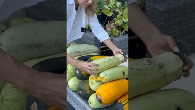 Нетипичный фермер