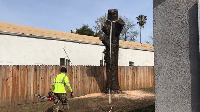 Final cut down... Tree Removal. Завалил деревянного. смотреть онлайн