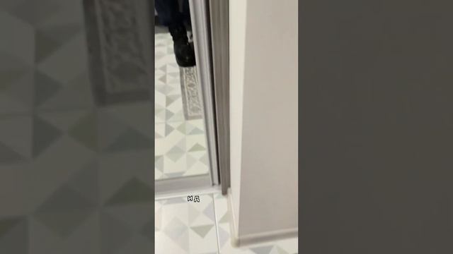 Французский бульдог промок насквозь. Гуляли под дождем. А что делать, ходим в любую погоду #бульдог смотреть онлайн