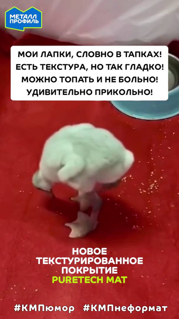 Когда новая крыша радует тебя как ребёнка #металлпрофиль #крыша #кровля смотреть онлайн