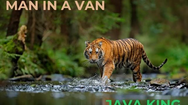 Man in a Van - Java King смотреть онлайн