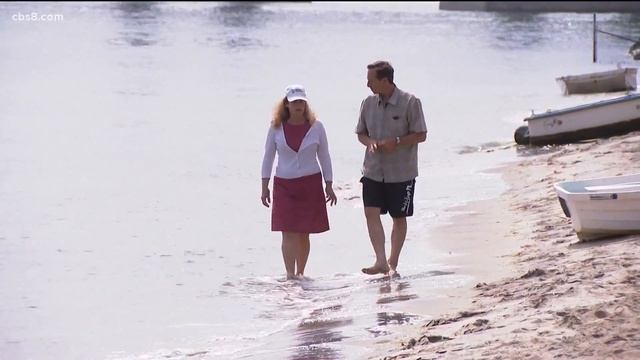 Eelgrass in San Diego bay is helping to trap carbon and improve air quality смотреть онлайн