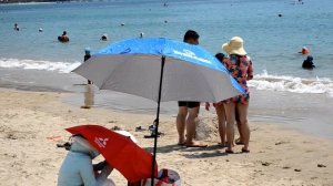 Вьетнам Нячанг погода 29 апреля 2024 года | Солнце, пальмы и приключения