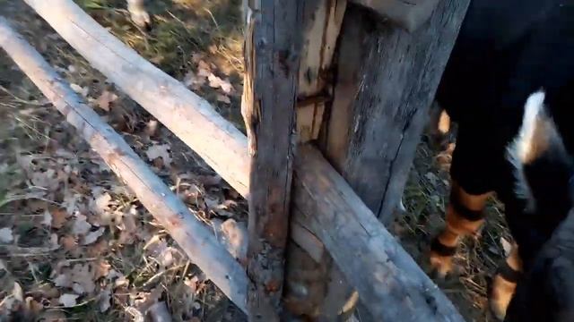 Выхожу на связь.Понемногу обо всём. смотреть онлайн