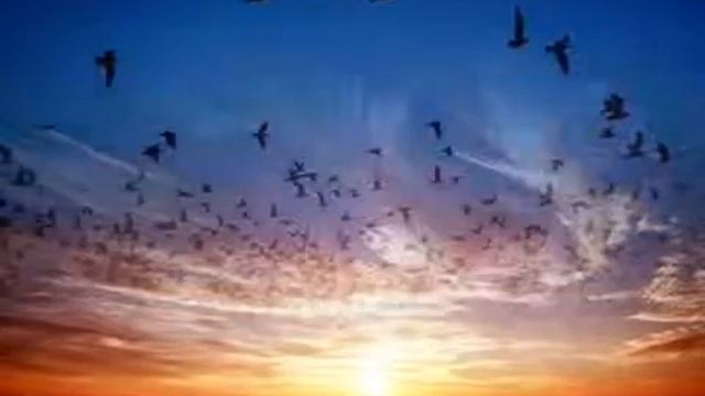 татьяна снежина мы в этой жизни только гости смотреть онлайн