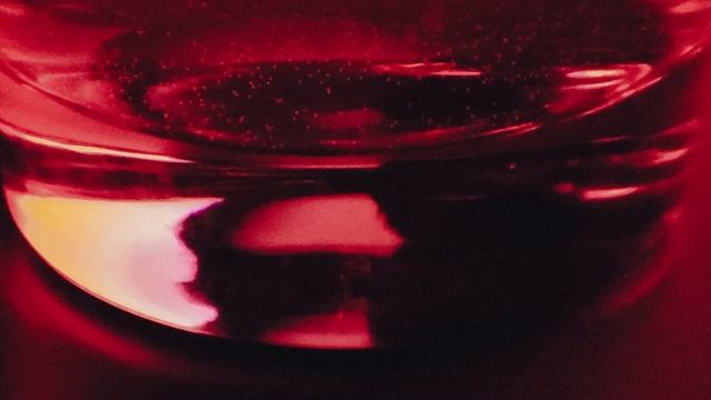 LAST NIGHT ON EARTH | ava max - lyric video смотреть онлайн