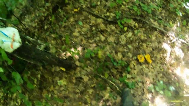 Новый мотоцикл GASGAS 300 Эксклюзивно