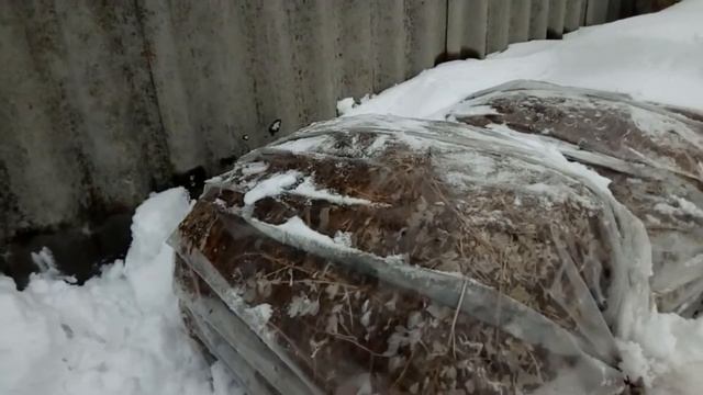 Синаж в упаковке в домашних условиях смотреть онлайн