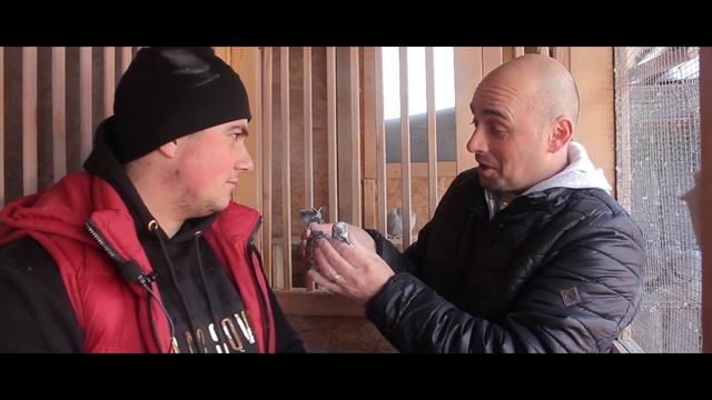 Pasiunea Pentru Porumbei - Ep 2 смотреть онлайн