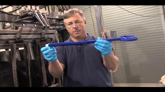 HOW TO PLACE A CIDR DEVICE IN A COW смотреть онлайн