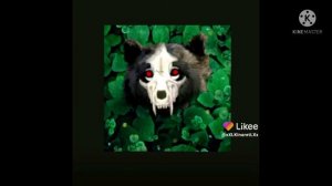 Подборка Likee wild craft🥕🥕