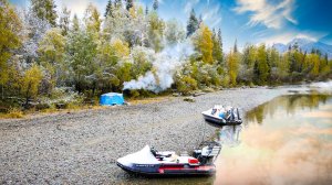 ТАЙГА. МЕДВЕДИ ВОЛКИ И ТАЙМЕНЬ