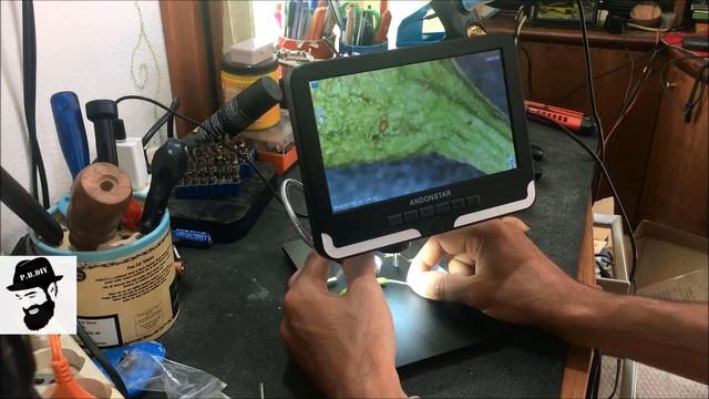 Recensione E Test Microscopio Digitale Andonstar