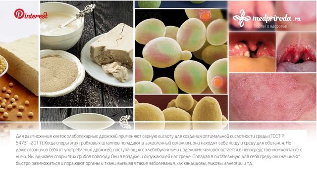 Микроскопический консультация