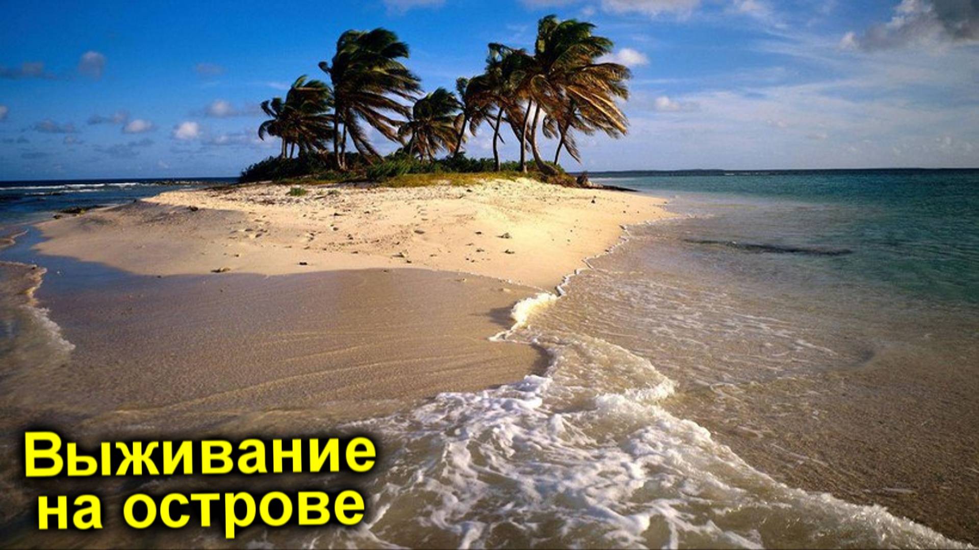 ✅Выживание на ОСТРОВЕ ОБЕЗЬЯН 🙊Строим ДОМ на ДЕРЕВЕ !!! Сталкерская база на необитаемом острове🙉🙈 смотреть онлайн