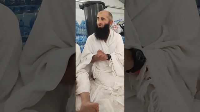 Тулпар Андийский на Арафа 27.06.2023г. смотреть онлайн