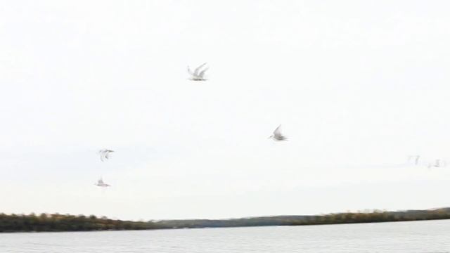 Lake Minnetonka - The last day of summer 2010. смотреть онлайн