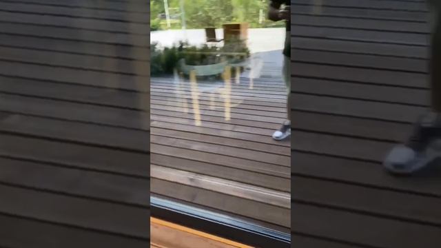 Алюминиевые окна, двери, витражи от компании «Светлые Окна