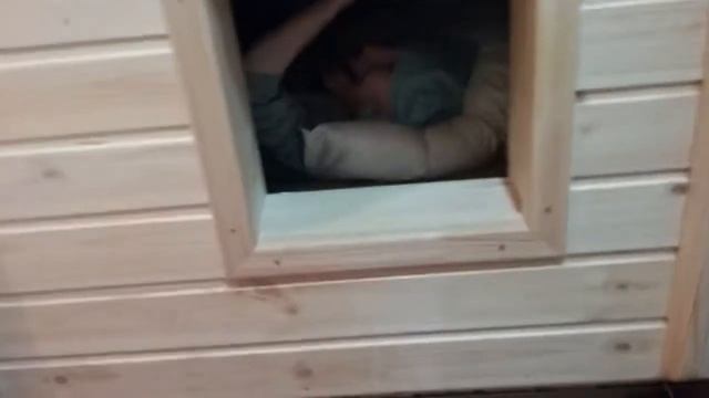 15 июня 2017 г. смотреть онлайн