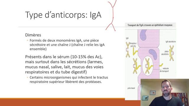 Chapitre 11: Système Immunitaire (réponse Acquise) (Microbiologie Et Immunologie 101-401-HU)