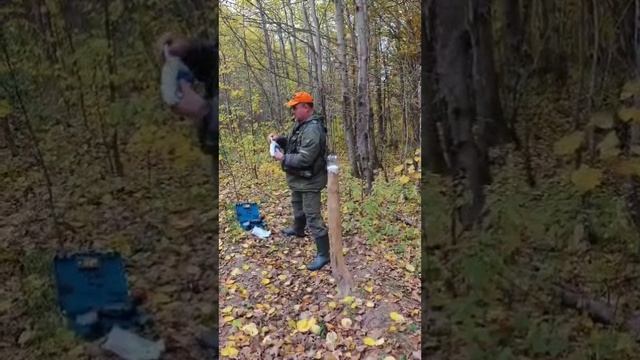 Ещё один солонец для Зайцев готов!!! смотреть онлайн