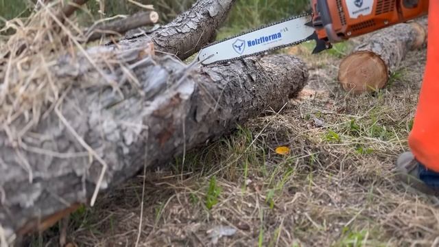 But Can It Haul Wood? смотреть онлайн