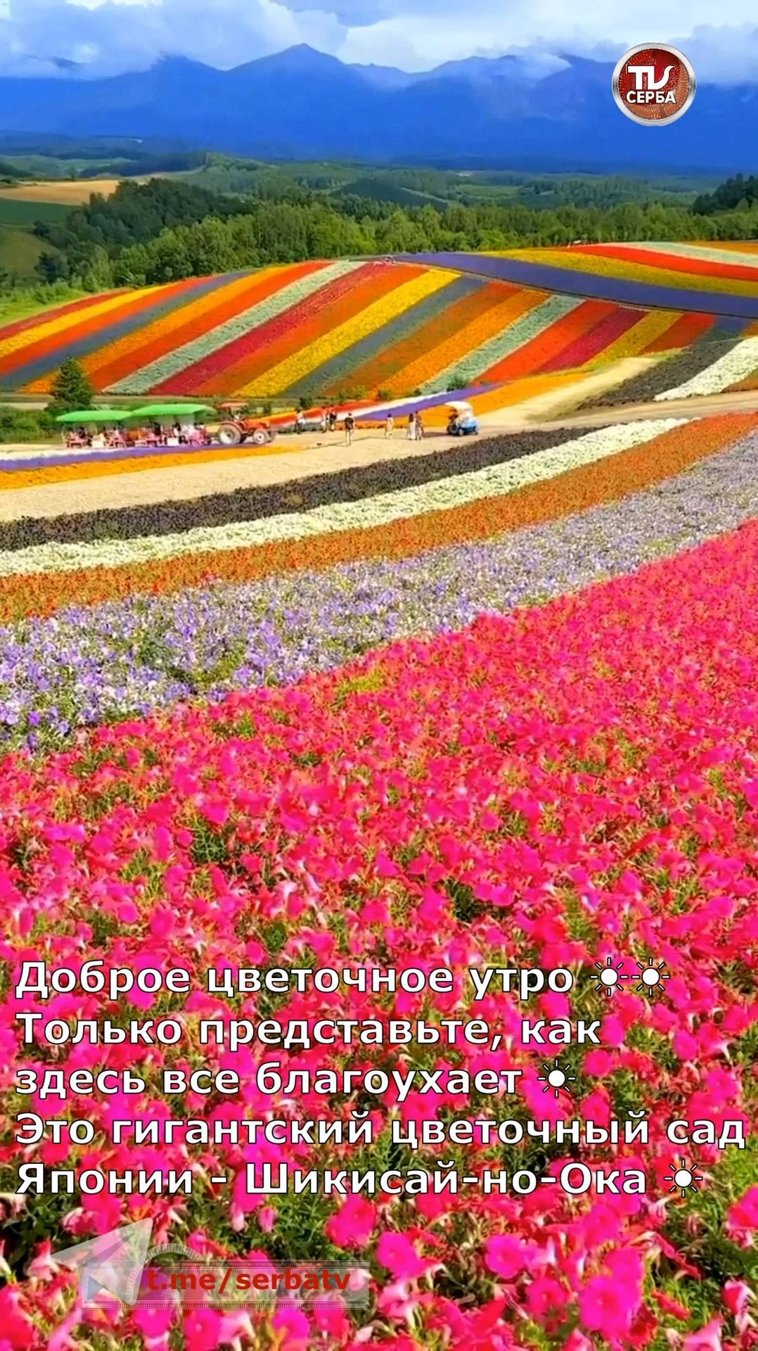 Буйство красок Планеты Земля 🌍 Самые красивые места мира 🌏 смотреть онлайн