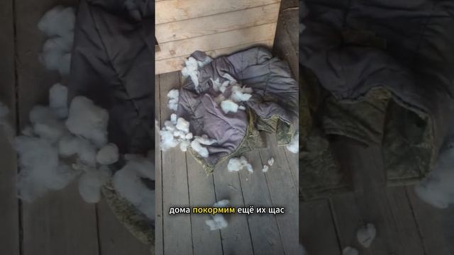 Спасение Джаггера ч.3! Апартаменты готовы) смотреть онлайн