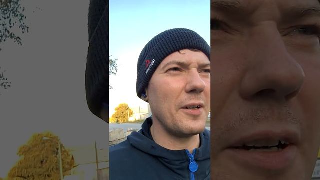 база психоллгии и саморазвития. Канал свободных. смотреть онлайн