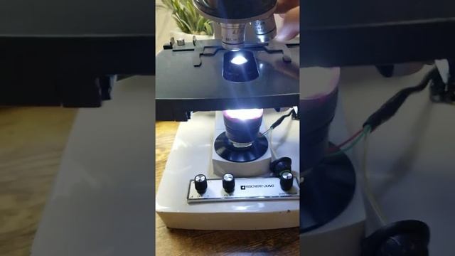 DIY Darkfield Microscope From A Lightfield Microscope смотреть онлайн