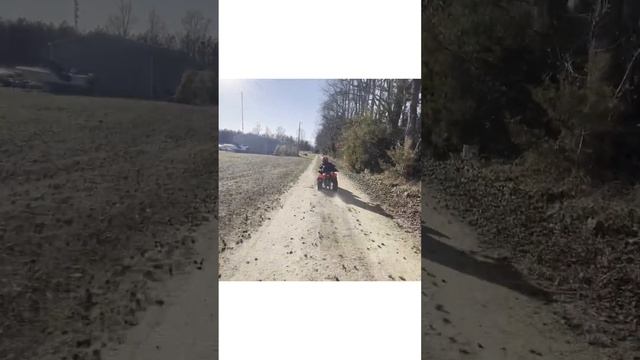 Watch Him Go! | Kayo Fox 70 (4 yr Old) смотреть онлайн