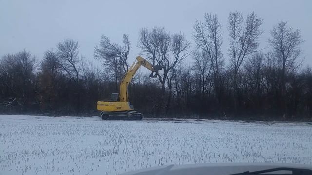 Taking down some trees смотреть онлайн