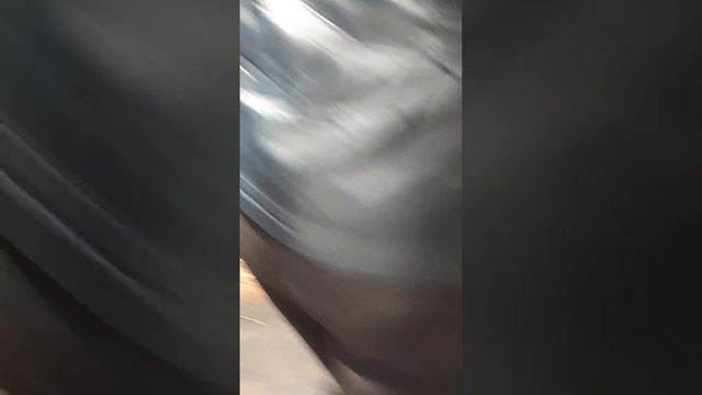 /short video at the zoo from last week/ смотреть онлайн