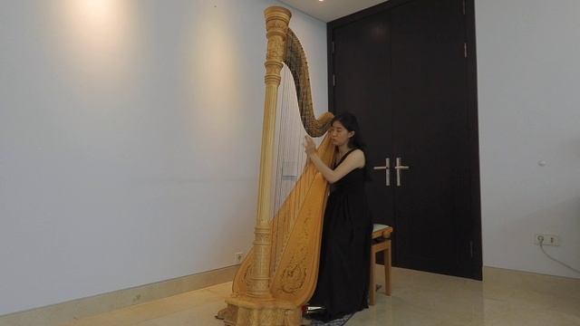 Yoonsu Cha - 2022 World Harp Congress - W. Posse, The Carnival of Venice смотреть онлайн
