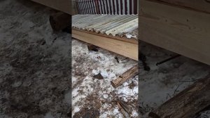 Пусть работает железная пила, не для работы меня мама родила!🤣🤣🤣