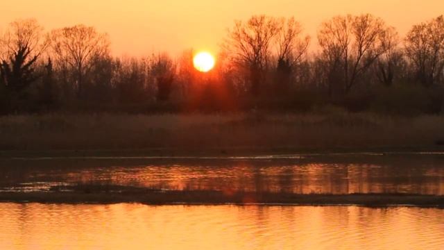 What A Wonderful World