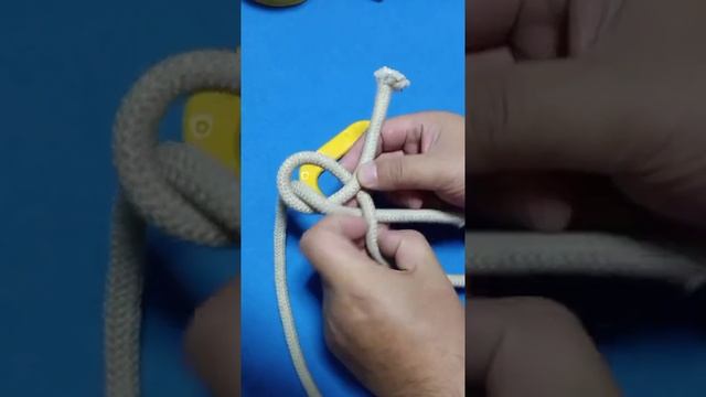 #EP137 DIY Cute Cute in daily life || Short Video смотреть онлайн