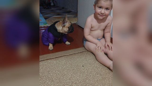 VideoCook_20241002_225349711