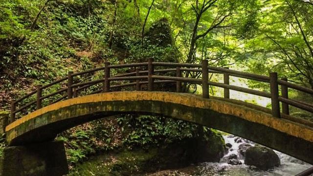 天岩戸AMANOIWATO〜纐纈雅代 смотреть онлайн