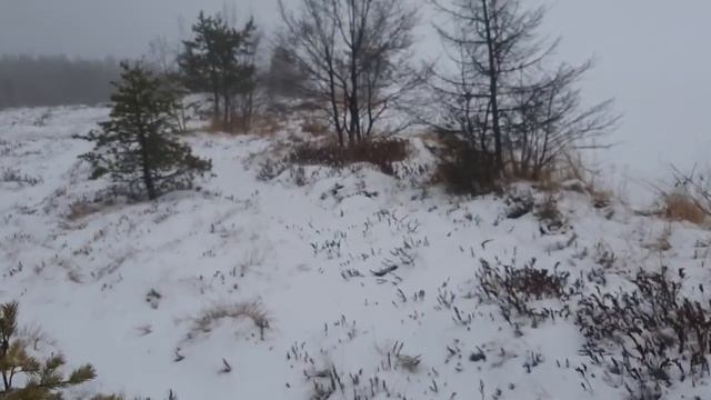 На болоте зимой смотреть онлайн