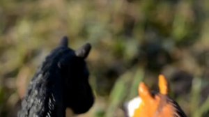 Шляйх клип "Ведьмы" (schleich)