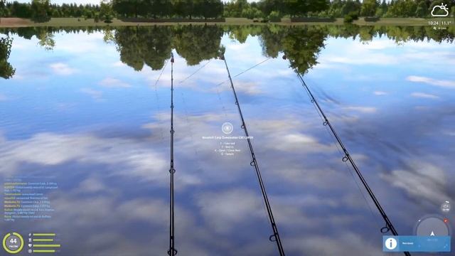 SUPER ACTIVE CARP SPOT IN AMBER LAKE! #797 Russian Fishing 4