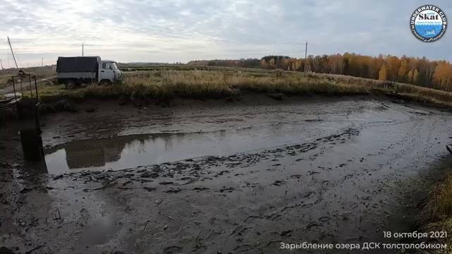 2021_10_18 - Зарыбление озера ДСК толстолобиком смотреть онлайн
