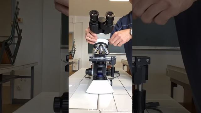 microscope olympus cx21 смотреть онлайн