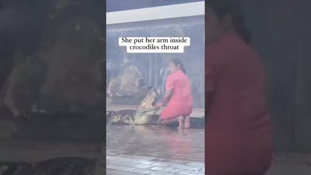 OMG 😮 she put her arm and head inside the crocodiles mouth смотреть онлайн
