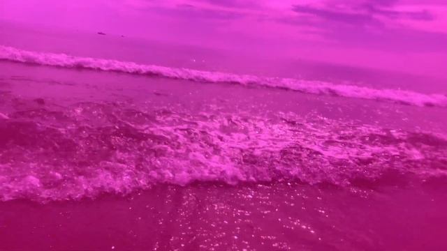Spend a Week At the Beach with Me! (Vacation Diary) | Meghan Osley смотреть онлайн