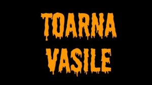 PAVEL STRATAN VASILE TOARNA